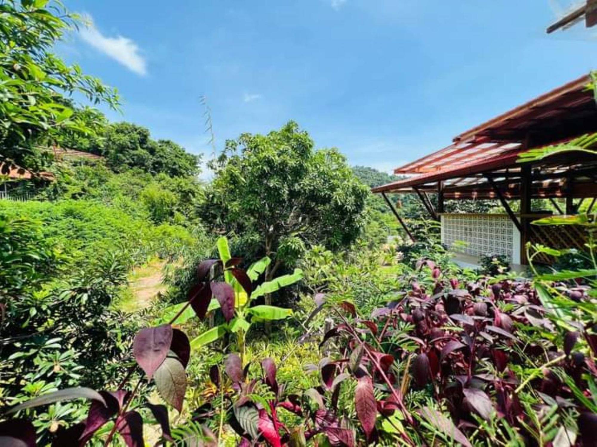 Veranda Natural Resort Kep Exterior photo